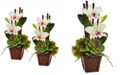Nearly Natural White Cattleya Orchid and Succulent Artificial Arrangement, Set of 2
